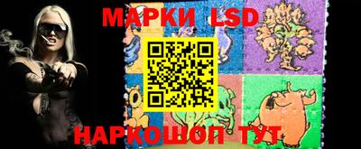 крисы Беслан