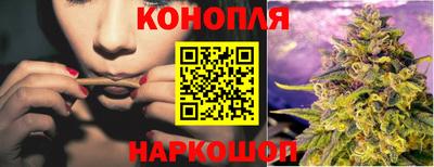 крисы Беслан